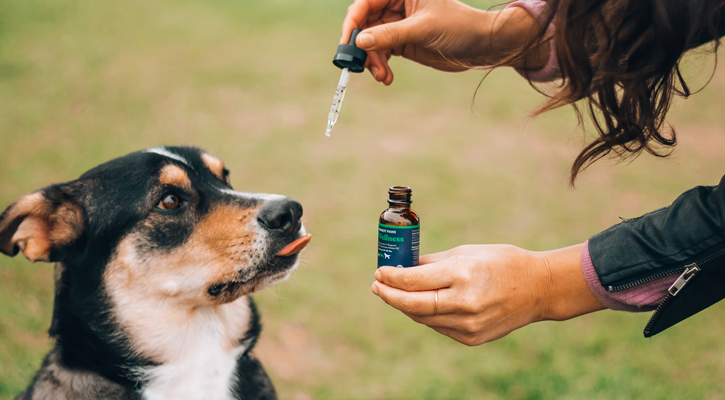 pet nutrition Dog with Drops