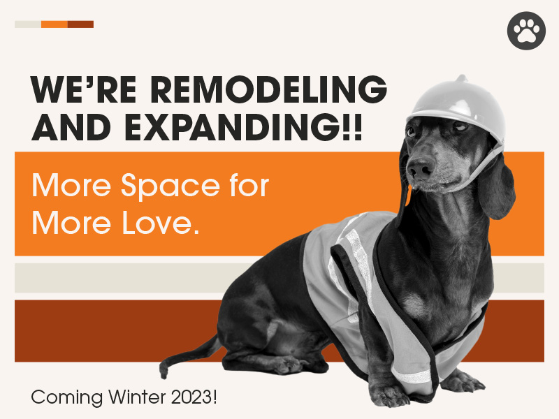Remodeling and Expanding our Veterinary Clinic