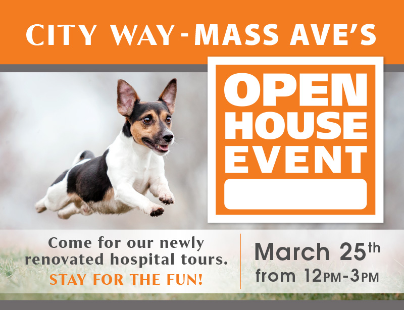 Mass Ave Open House Event